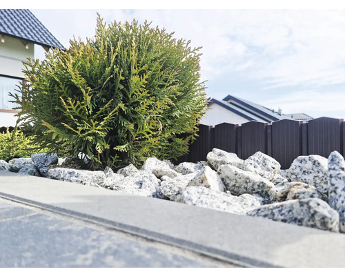 Grădină decorativă cu arbust ornamental, pietre de pietriș și gard