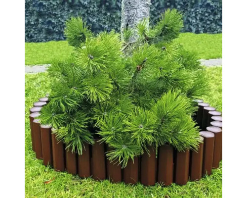 Gard viu din lemn cu plantă în grădină