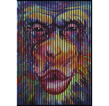 Panou riflaj acustic imprimat digital Monkey 1 19x1693x2400 mm