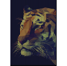 Panou riflaj acustic imprimat digital Tigru 2 19x1693x2400 mm