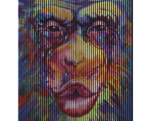 Panou riflaj acustic imprimat digital Monkey 1 19x2253x2400 mm