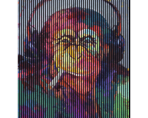 Panou riflaj acustic imprimat digital Monkey 2 19x2253x2400 mm