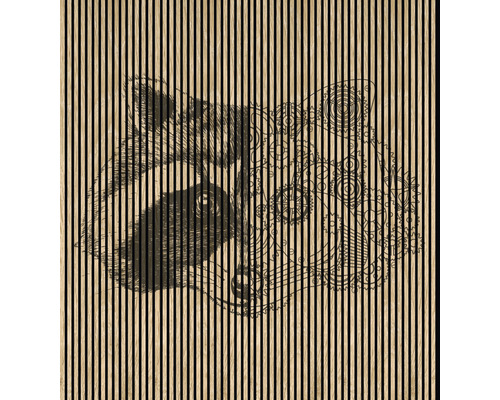 Panou riflaj acustic imprimat digital Raccoon 1 19x2253x2400 mm