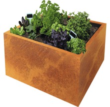 Jardinieră metalică înaltă plantată cu diverse ierburi și plante