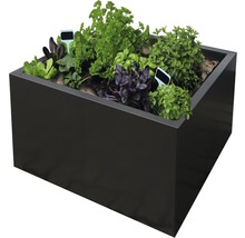 Jardinieră înaltă cu diverse ierburi și etichete