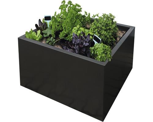 Jardinieră înaltă cu diverse ierburi și etichete