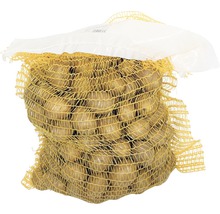 Sac cu cartofi de sămânță