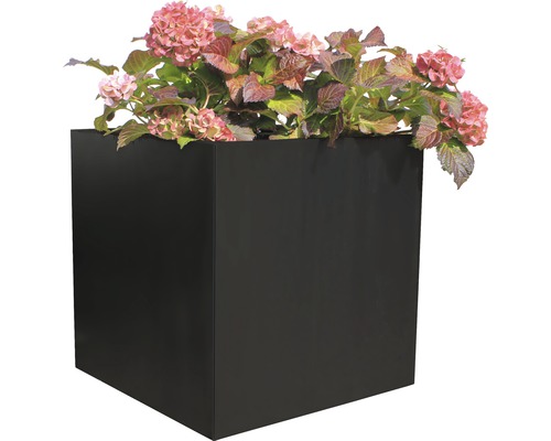 Jardinieră cubică cu plantare de hortensii