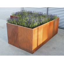 Jardinieră metalică cu plante