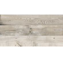 Gresie interior porțelanată rectificată Forest Wood Moka 60x120 cm