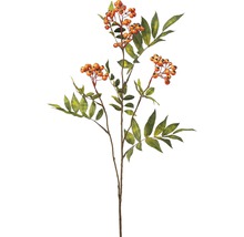 Ramură decorativă cu fructe de pădure și frunze