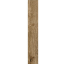 Placă ceramică aspect lemn cu textură de lemn