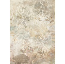 Fototapet vlies R2-004 Ancient Times 200x280 cm