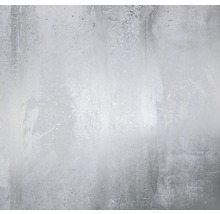 Fototapet vlies RSX8-018 Arte 400x280 cm