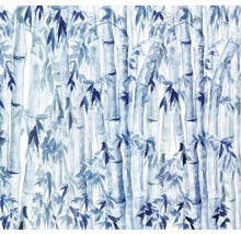 Fototapet vlies R3-033 Bamboo 300x280 cm