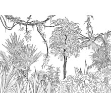 Fototapet vlies R4-046 Blanca 400x280 cm