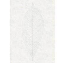 Fototapet vlies R2-012 Decent Leaf 200x280 cm