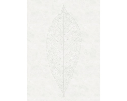 Fototapet vlies R2-012 Decent Leaf 200x280 cm