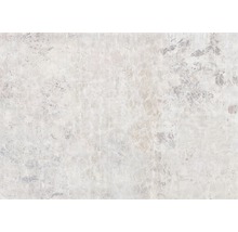 Fototapet vlies R4-052 Feathered 400x280 cm