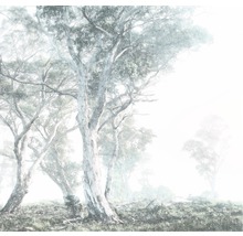 Fototapet vlies R3-023 Magic Trees 300x280 cm
