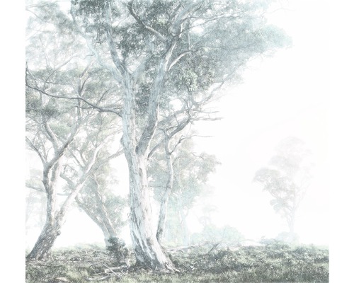 Fototapet vlies R3-023 Magic Trees 300x280 cm