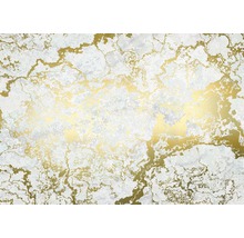 Fototapet vlies RSX8-056 Marbelous 400x280 cm