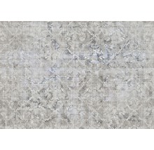 Fototapet vlies R4-041 Origins 400x280 cm