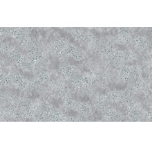 Fototapet vlies R4-042 Pristine 400x280 cm
