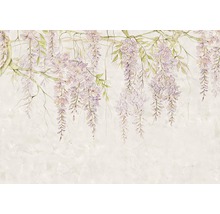 Fototapet vlies R4-050 Wisteria 400x280 cm