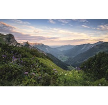 Fototapet vlies SHX9-059 Allgäu Alps 450x280 cm