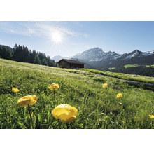 Fototapet vlies SHX8-003 Alpine Luck 400x280 cm