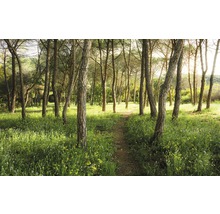 Fototapet vlies SHX9-011 Magic Flower Forest 450x280 cm