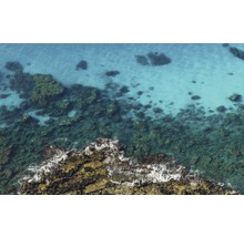 Fototapet vlies SHX9-105 Bright Blue 450x280 cm