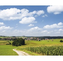 Fototapet vlies SHX7-006 Bavarian Idyll 350x280 cm