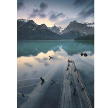 Fototapet vlies SHX4-012 Burning Emerald 200x280 cm