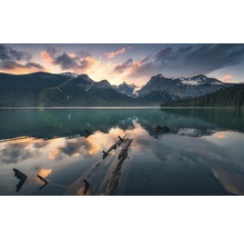 Fototapet vlies SHX9-012 Burning Emerald 450x280 cm