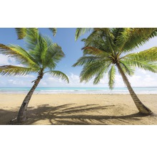 Fototapet vlies SHX9-014 Caribbean Days II 450x280 cm