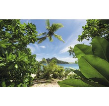 Fototapet vlies SHX9-106 Cast Away Jungle 450x280 cm