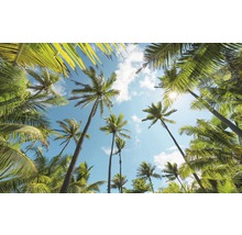 Fototapet vlies SHX9-108 Coconut Heaven 450x280 cm