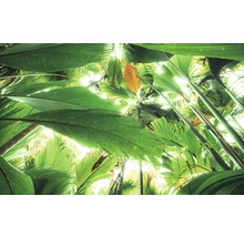 Fototapet vlies SHX9-024 Jungle roof II 450x280 cm
