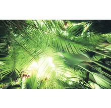 Fototapet vlies SHX9-025 Jungle roof 450x280 cm