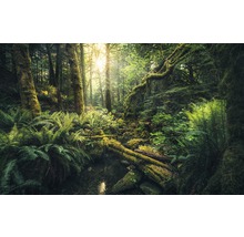 Fototapet vlies SHX9-028 Elves Cathedral 450x280 cm