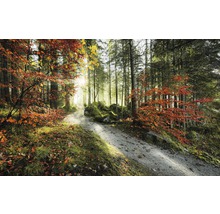 Fototapet vlies SHX9-031 Fire tongues 450x280 cm