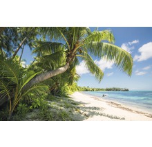 Fototapet vlies SHX9-109 Fiji Dreams Boat 450x280 cm
