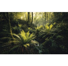 Fototapet vlies SHX9-110 Fjordland Woods 450x280 cm