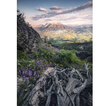 Fototapet vlies SHX4-130 Flowering Tales 200x280 cm