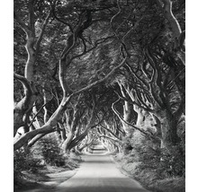 Fototapet vlies SHX5-033 Forevenue 250x280 cm