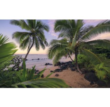 Fototapet vlies SHX9-116 Hawaiian Dreams 450x280 cm