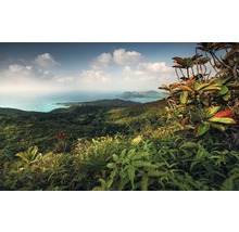 Peisaj cu vegetație luxuriantă, mare și insule