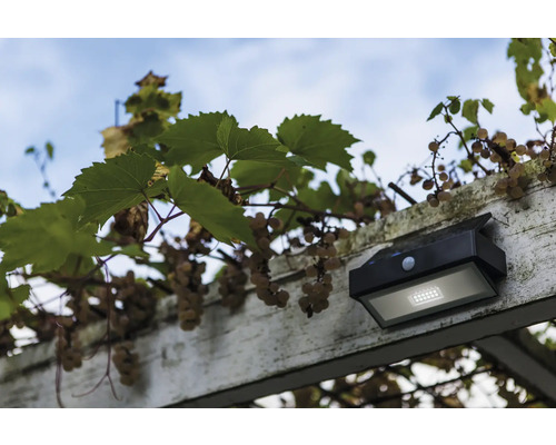 Lampa solară cu senzor de mișcare pe o pergolă cu viță de vie